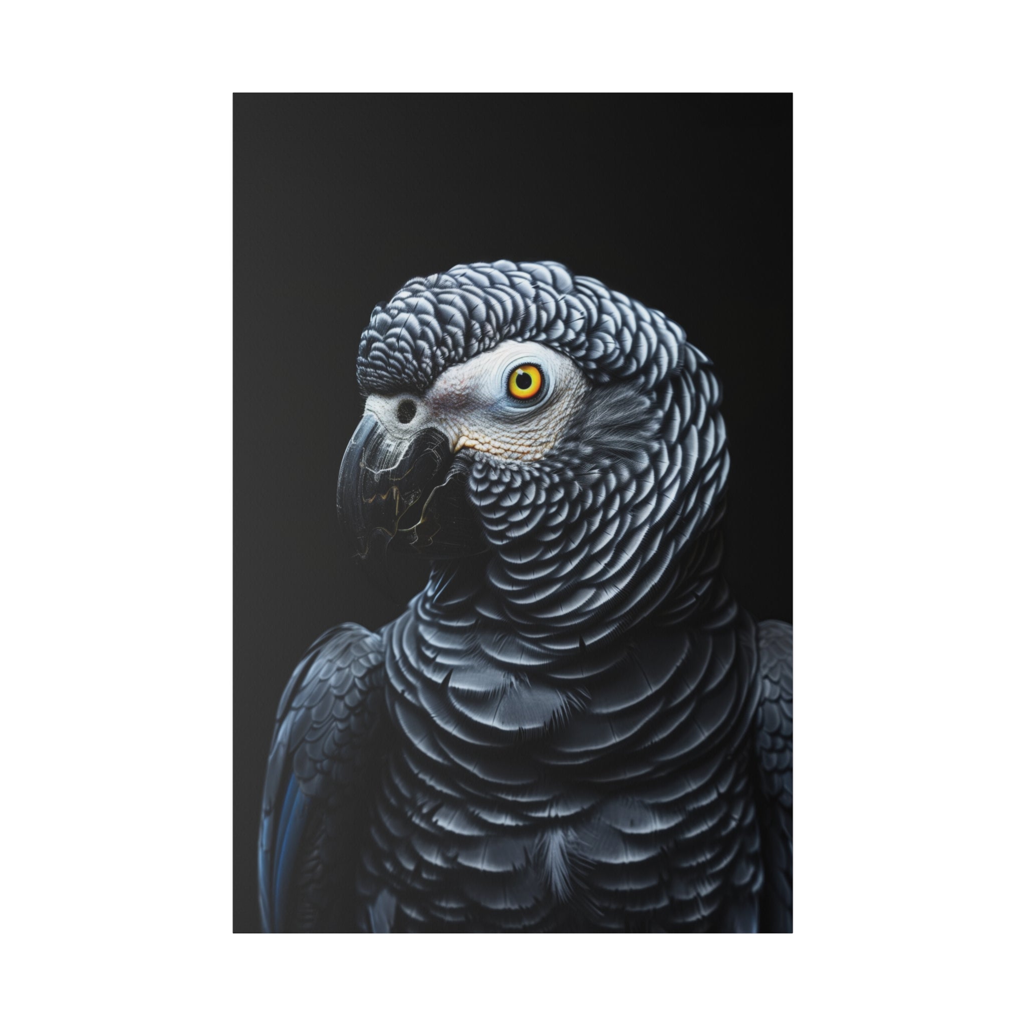 Grey Parrot - Wildlife Wall Art - Vertical Canvas - WA288