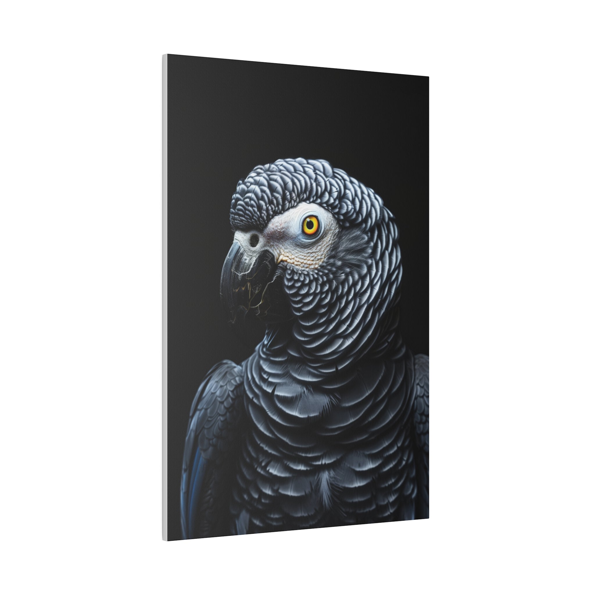 Grey Parrot - Wildlife Wall Art - Vertical Canvas - WA288