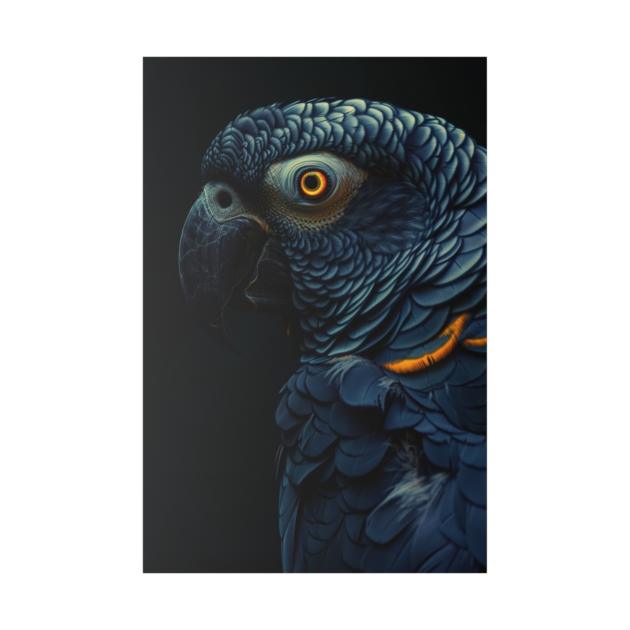 Parrot's Grace - Wildlife Wall Art - Vertical Canvas - WA292