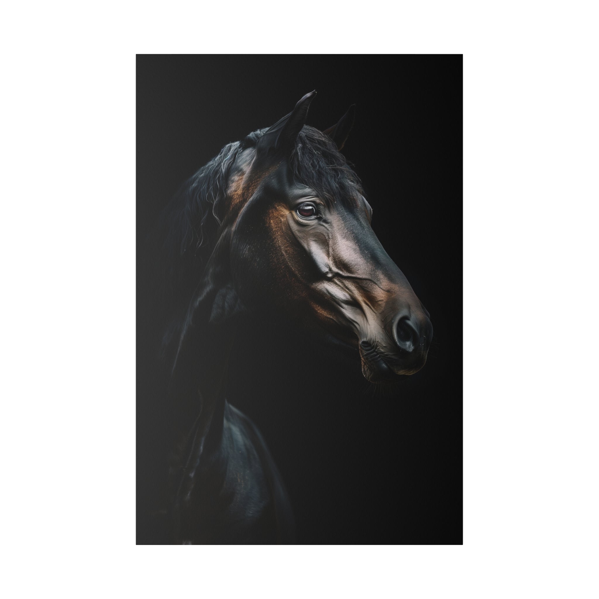 Black Majestic Horse - Wildlife Wall Art - Vertical Canvas - WA244