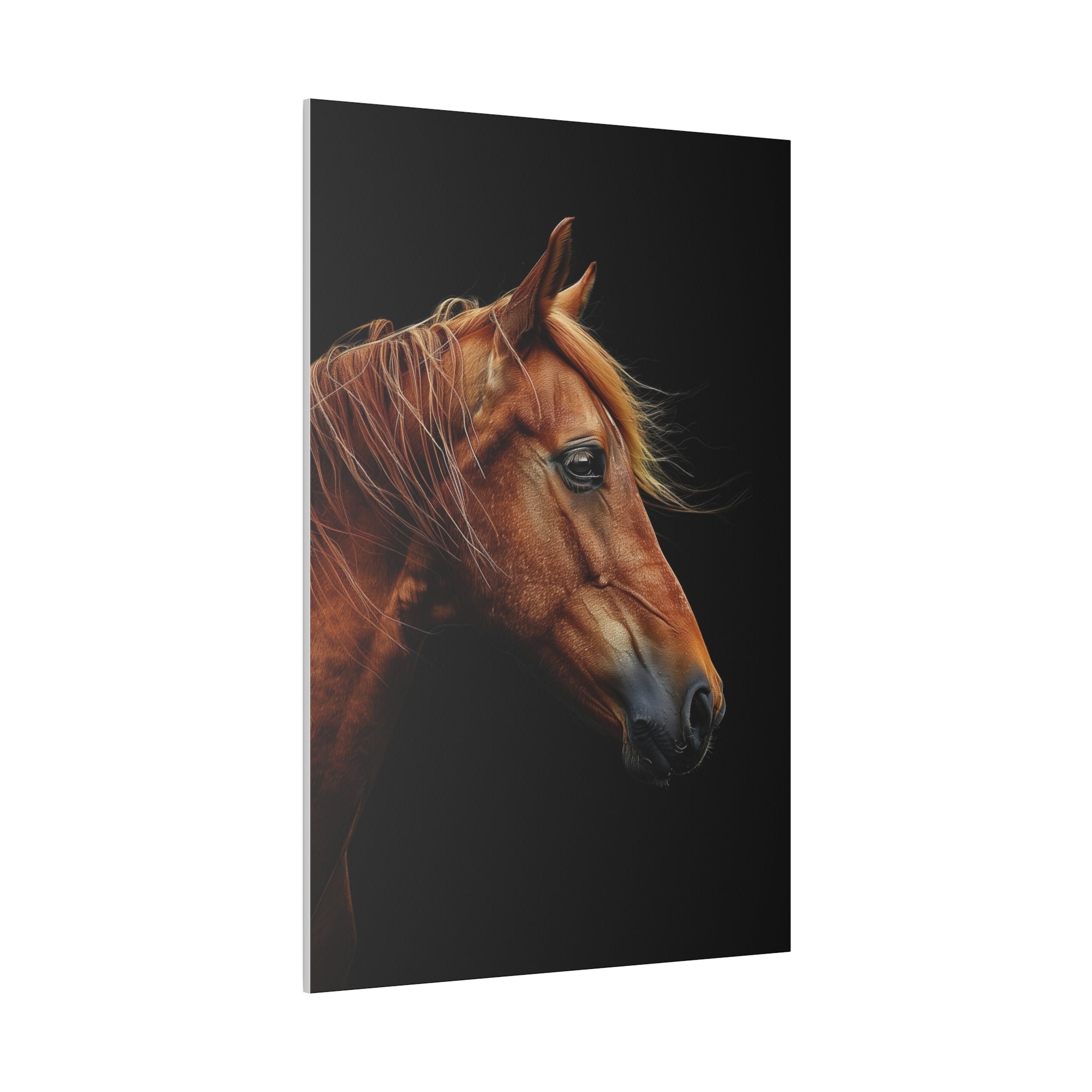 Majestic Horse - Wildlife Wall Art - Vertical Canvas - WA243