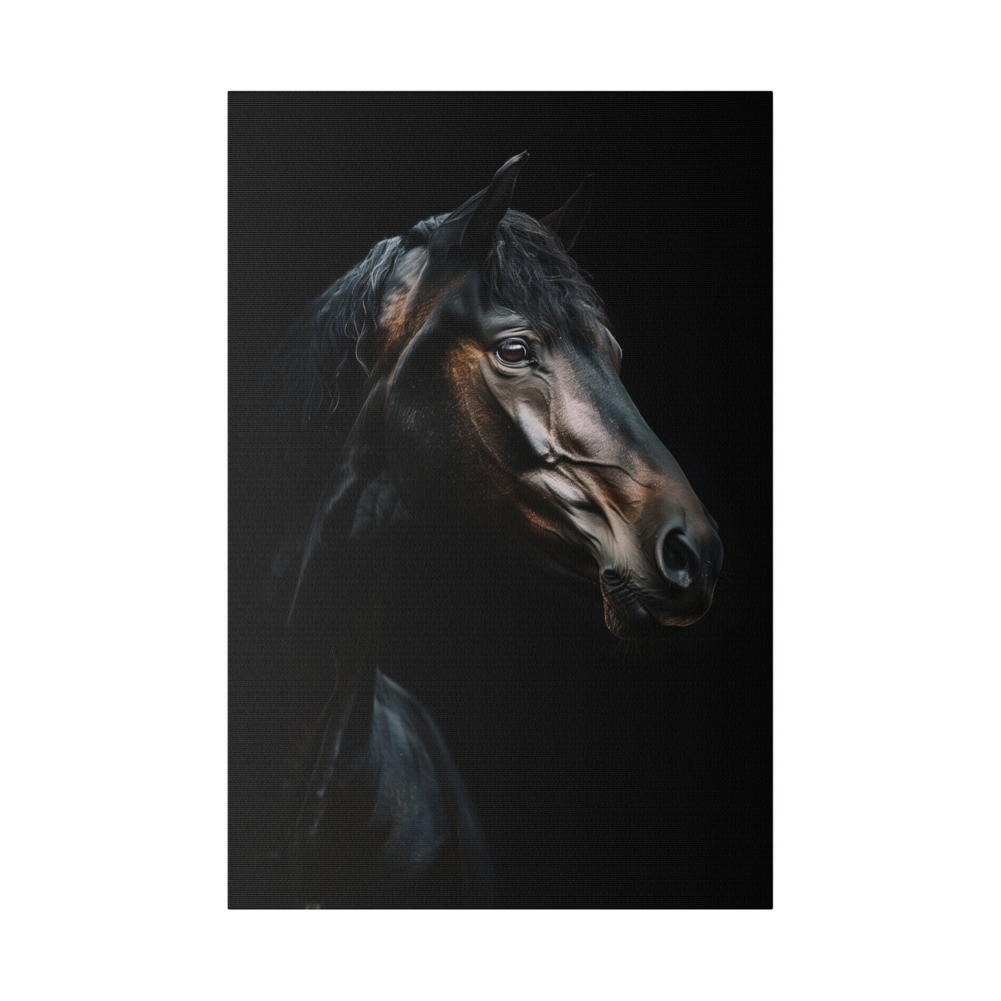 Black Majestic Horse - Wildlife Wall Art - Vertical Canvas - WA244