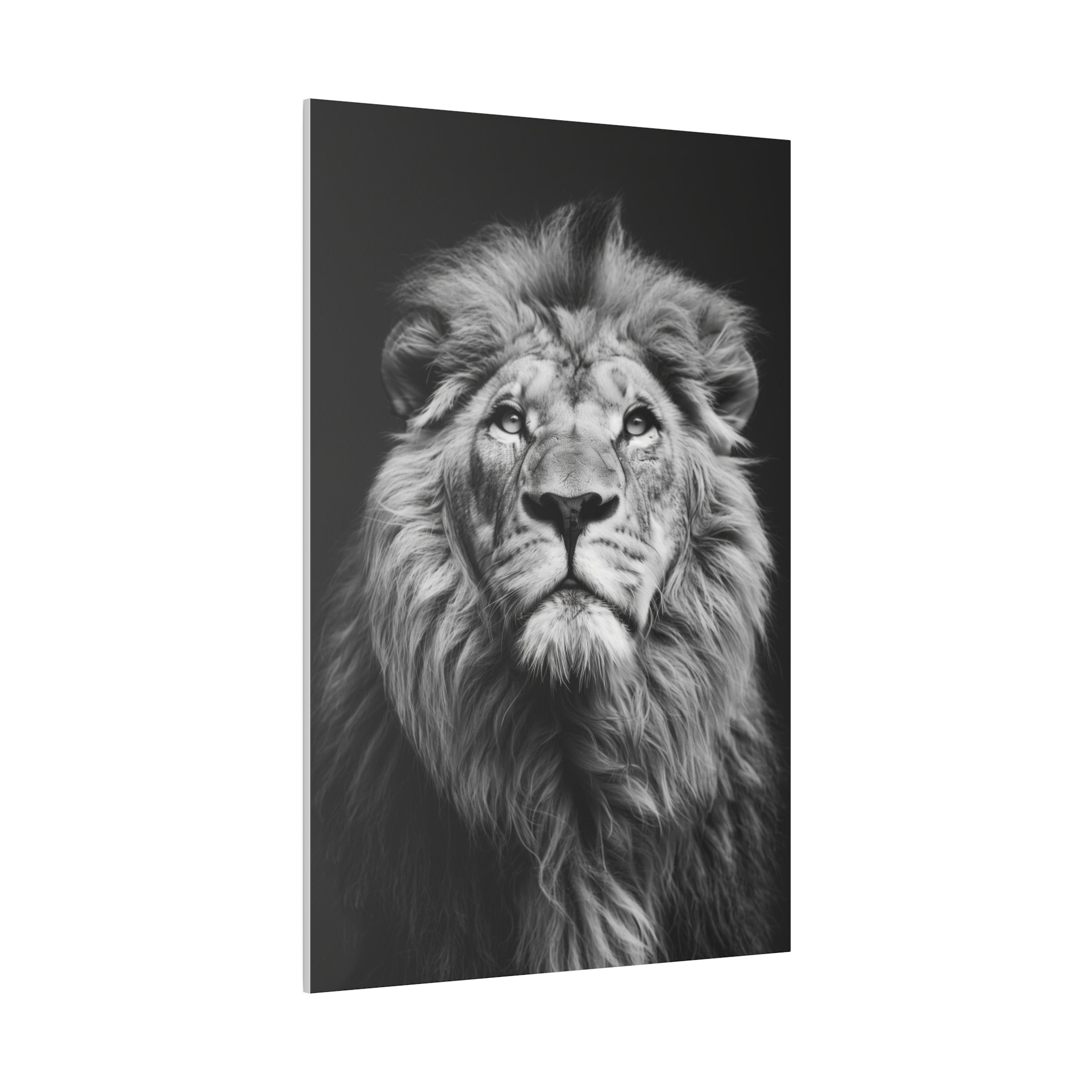 Lion's Pride - Wildlife Wall Art - Vertical Canvas - WA282