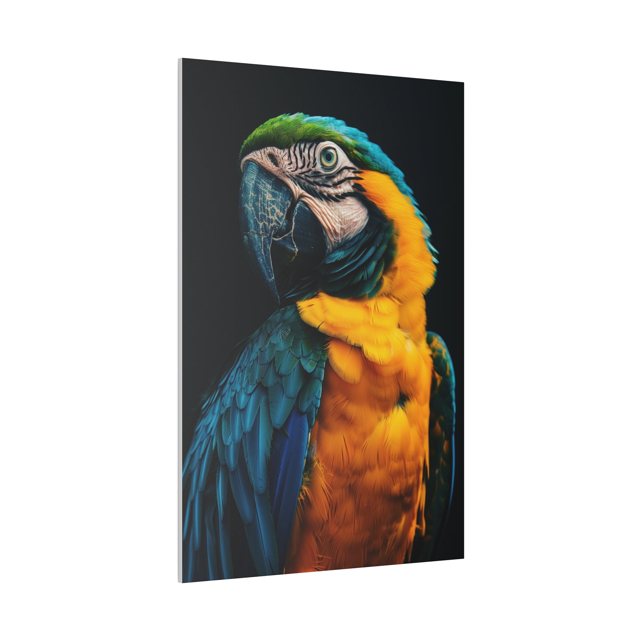 Imposing Parrot - Wildlife Wall Art - Vertical Canvas - WA248