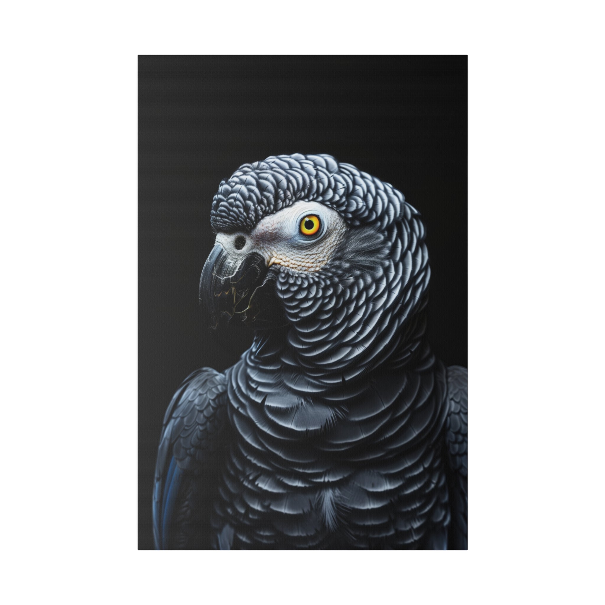 Grey Parrot - Wildlife Wall Art - Vertical Canvas - WA288